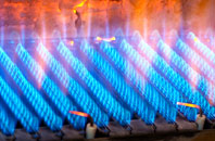 Buckridge gas fired boilers